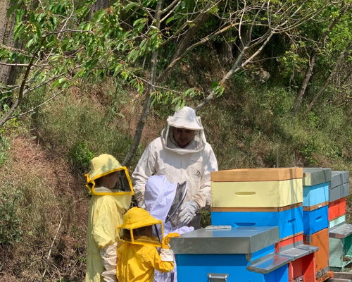 Cooking classes Merana: Become a beekeeper for a day