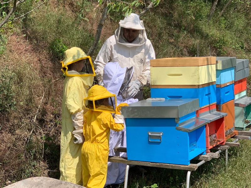 Cooking classes Merana: Become a beekeeper for a day