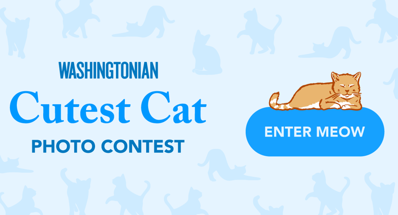 Event Calendar | Washingtonian | Washington, DC