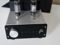 Audion Sterling Audion Integrated Amp 2