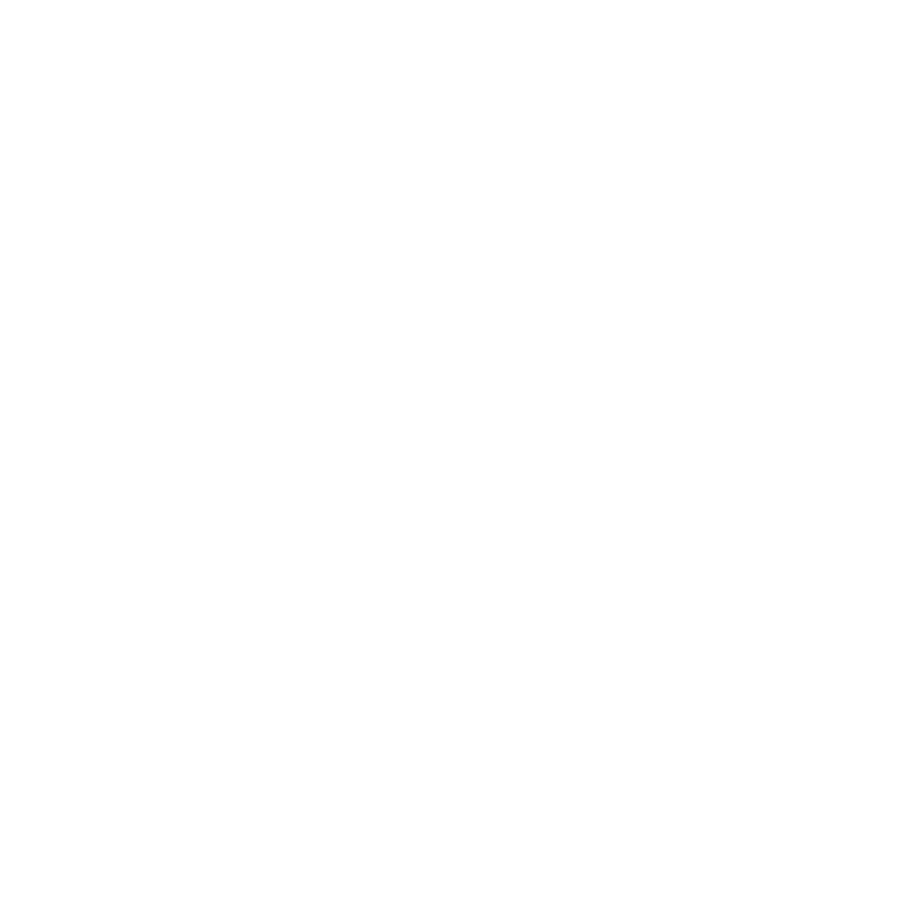 White Spotify Logo