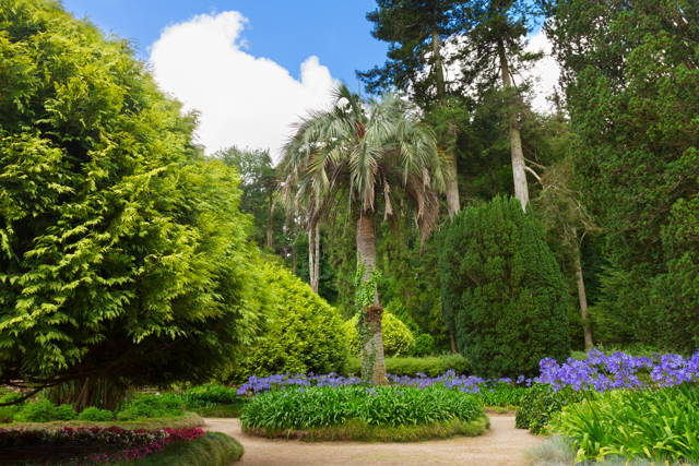 See the Best Sights of Sintra & Cascais 