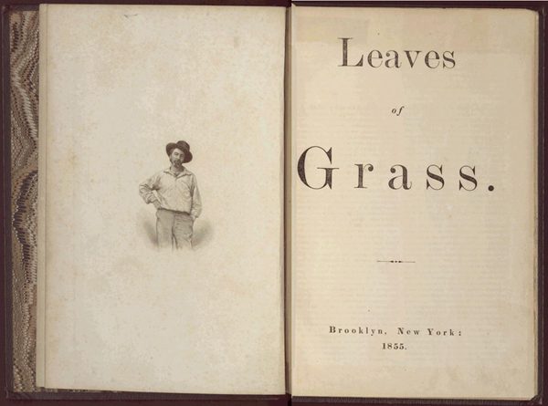 Opening pages of leaves of grass with walk sketched on the side page.