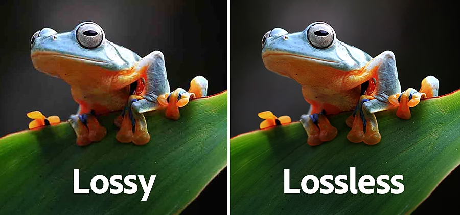 An artistic demo of lossy vs. lossless image compression