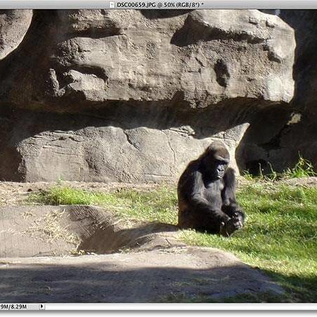 Уменьшение шума на изображениях с помощью Photoshop