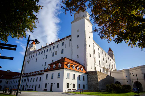 Walking Tour with Castle Ticket