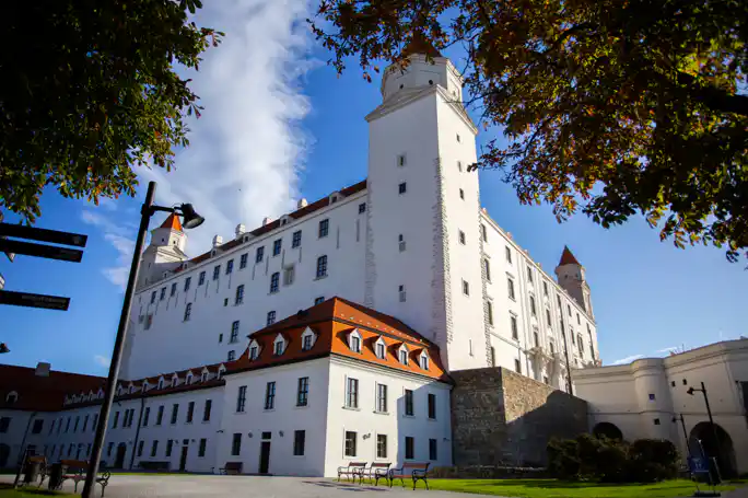 Walking Tour with Castle Ticket