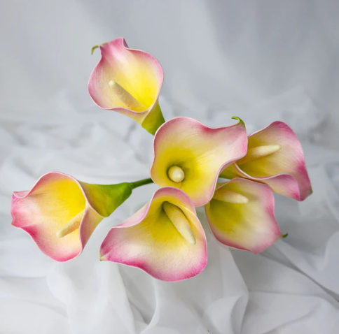 Yellow Pink Mini Calla Lily - Realistic Artificial Flowers - Image 2