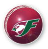 Finchley Cricket Club Logo