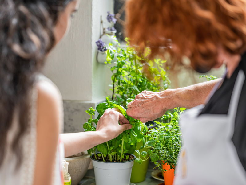 Food & Wine Tours Catania: Market Tour and Cooking Class in Catania