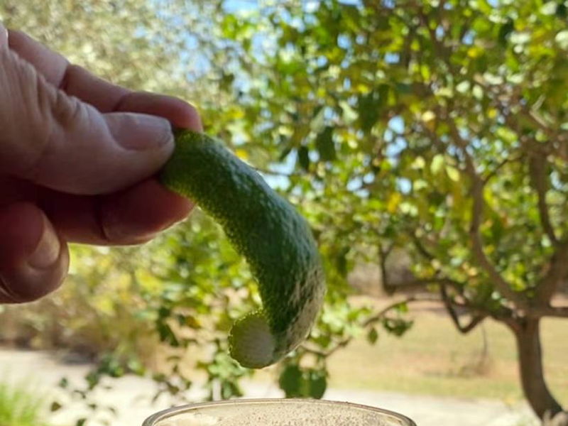 Cooking classes Modica: Sicilian breakfast with real almond milk