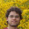 Remote Grpc/protobuf engineer - Lorran P.