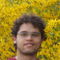 Lorran P., freelance gRPC programmer