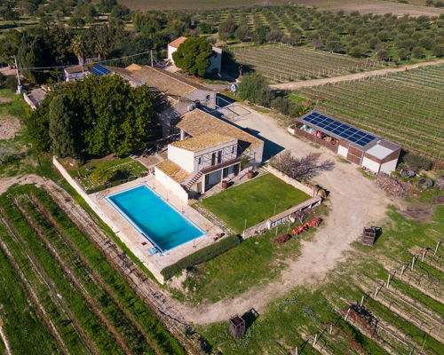 Food & Wine Tours Noto: WineTasting and local products