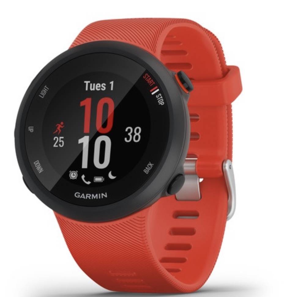  giudizio Garmin Forerunner 45 recensione