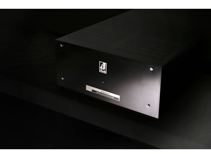 Finale Audio 829B Speciale Transmitter POWER Amp