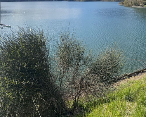 Esperienze gastronomiche Bargi: Festeggiamo insieme il nuovo anno!