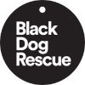 Black Dog Rescue logo