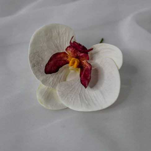 White and Dark Pink Phalaenopsis Flowerhead ( 6 Pack ) - Realistic Artficial Flowers - Image 2