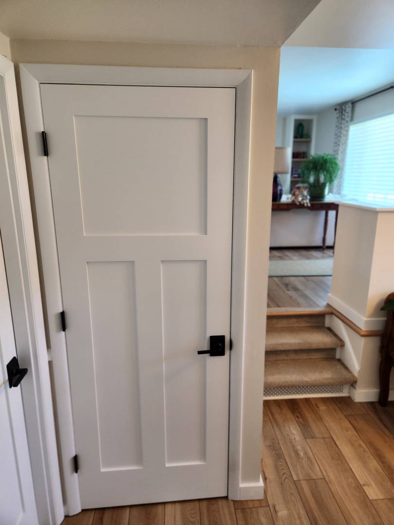 Residential interior door