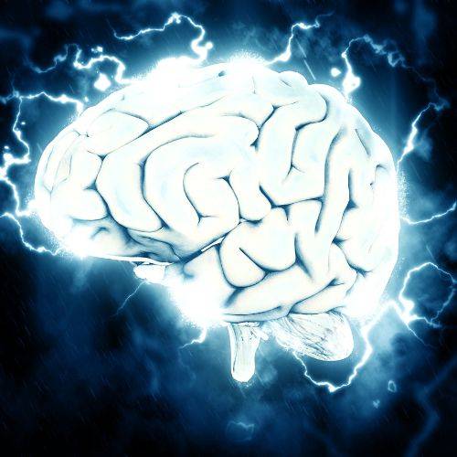 Can EWOT be Your Brain Gym?