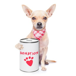 Animal Shelter Donations