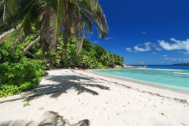 Vue sur une plage aux Seychelles