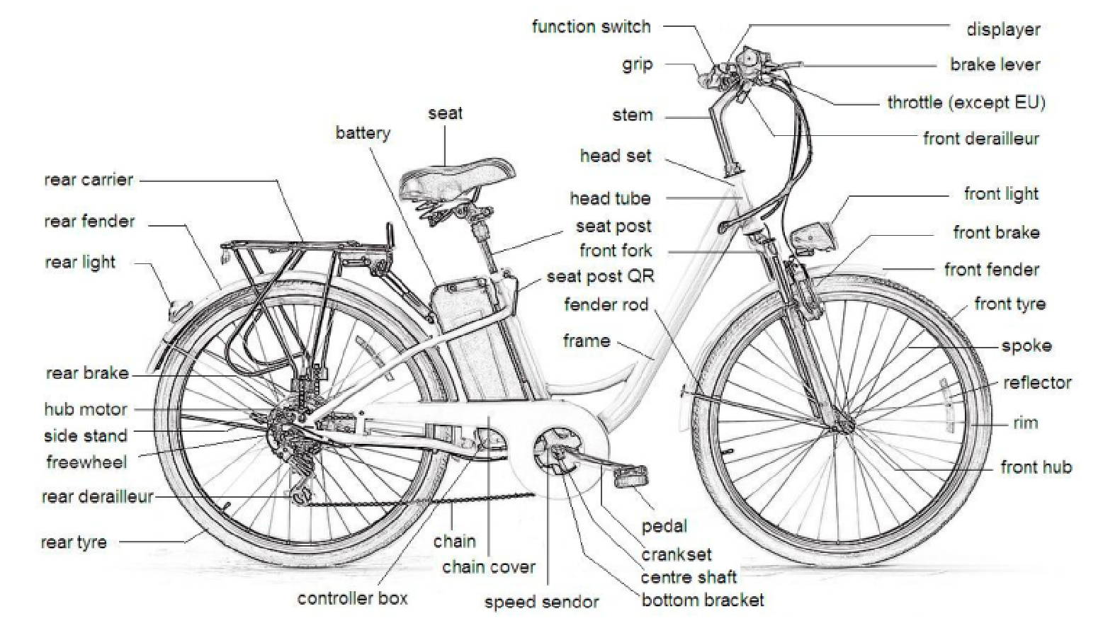 City Stroller