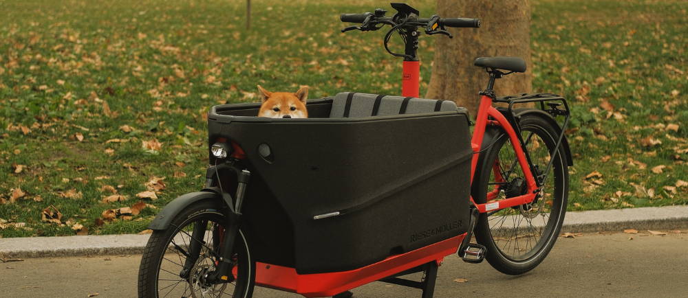 Riese & Müller electric cargo bike with dog