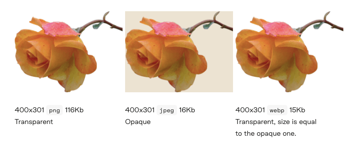 Image shrinking example