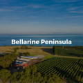 Bellarine Peninsula Winery Tours By Helicopter