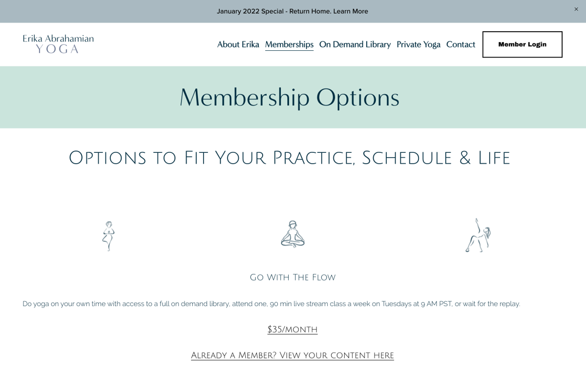 Screenshot of Practice Yoga with Erika, from the squarespace membership websites collection.
