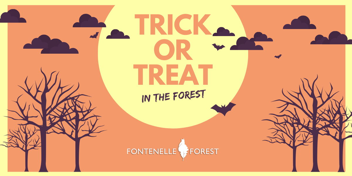 Trick or Treat in the Forest promotional image