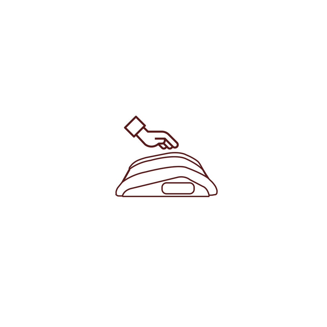 Alt Image