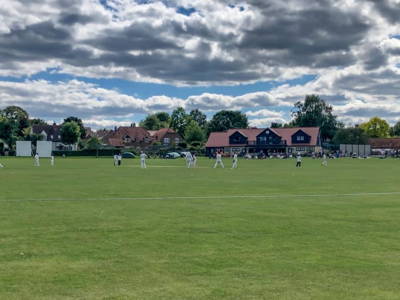 Thame Cricket Club Cricket Club Logo