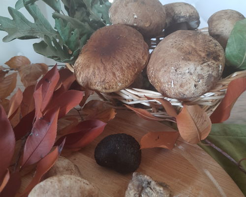 Cooking classes Mirabella Eclano: Autumn in Irpinia: chestnuts, mushrooms & pumpkin
