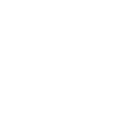 Logo Boots and Braces England