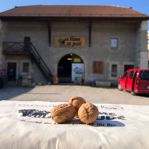 noix-de-grenoble-aop-bio