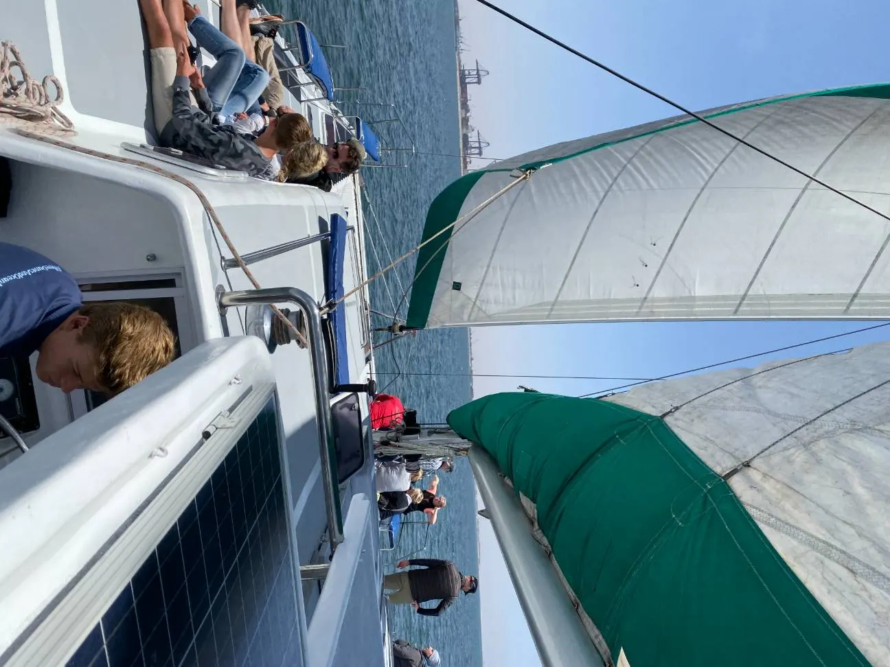 Sailing Dolphin and Seal Experience