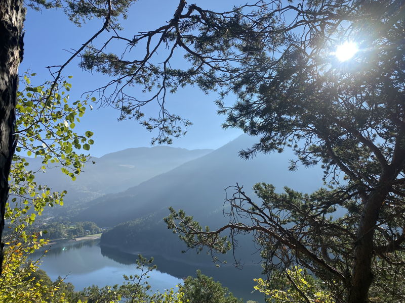 Kulinarische Erlebnisse Baselga di Pinè: Die Geschenke des Zauberwaldes auf dem Tisch, dazu ein guter Wein 