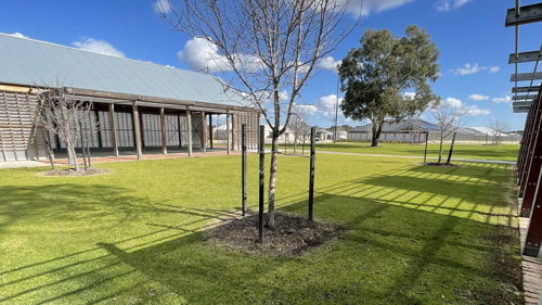 Clementine Share Place - Glavota's Pavilion & Community Green