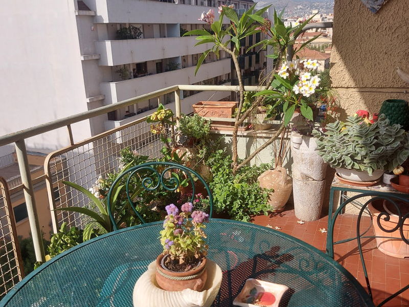 Tours œnogastronomiques Palerme: Visite du marché avec la Cesarina Velia et apéritif 