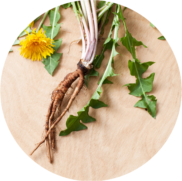 bowl of Flaxseeds as a source of Prebiotics in the best probiotics in singapore