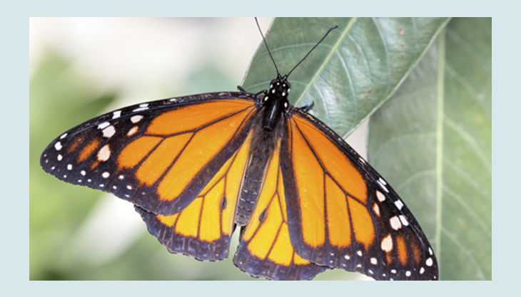 32 Teile Kindergeburtstag Bauernhof Tiere Party Deko Set 8 Personen