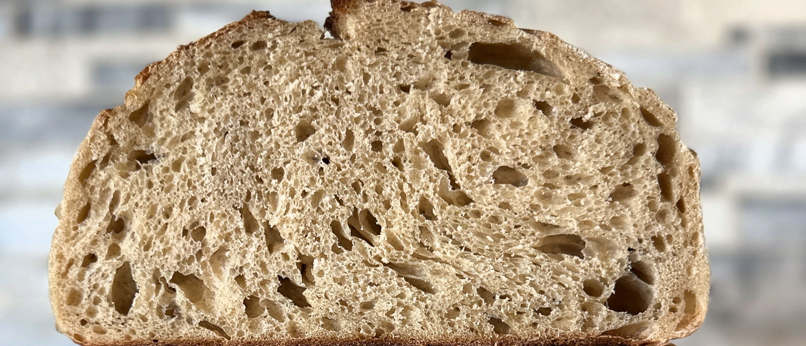 Rise & Roll Sourdough | Organic Bakery — photo from hotplate.com