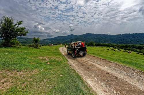 Джип-сафари по горам Абхазии