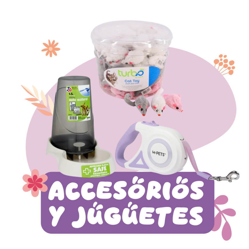 accesorios y juguetes