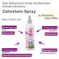 Vorteile Zahnstein Spray