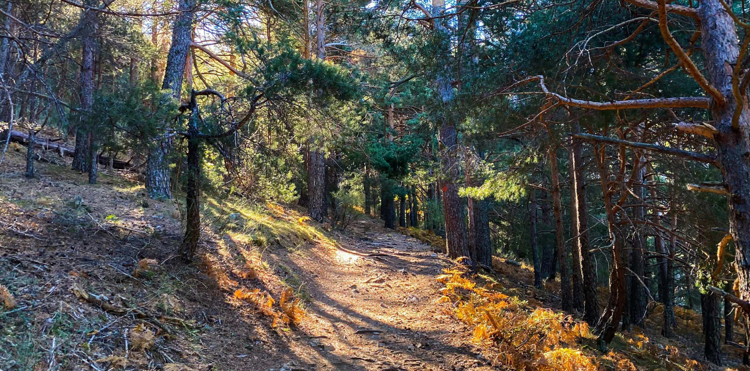 vista del parque  nacional de Guadarrama en bicicleta eléctrica montaña sierra España