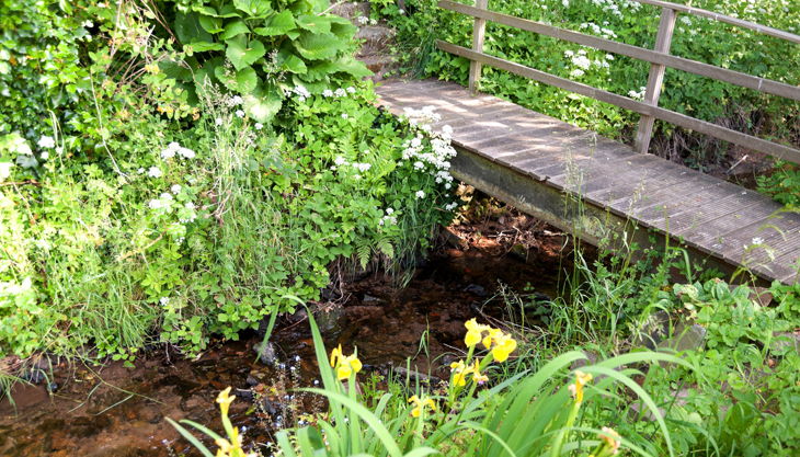 sommer bausmuehle natuerlich lernen solingen